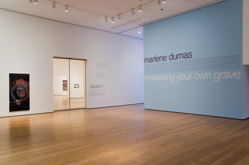 Measuring Your Own Grave - Installation view