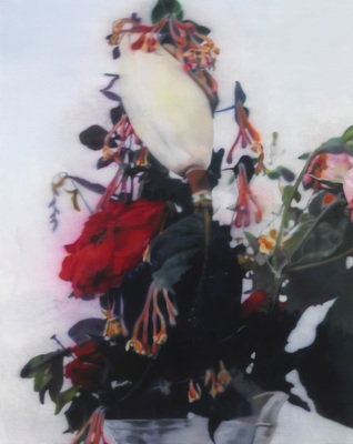 Johannes Kahrs - Untitled (flowers)