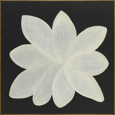 Off Road - Untitled, from Botânica