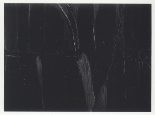 ZENO X GALLERY - Stanza - Avery Preesman