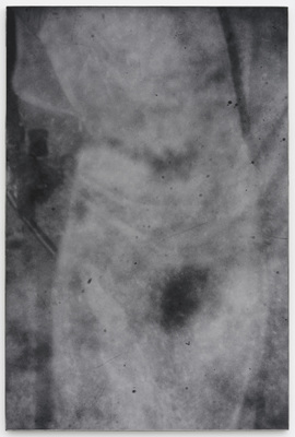 Dear deer , - Dirk Braeckman - Dear deer , How long