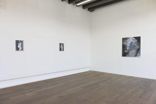 Double Takes - Installation view