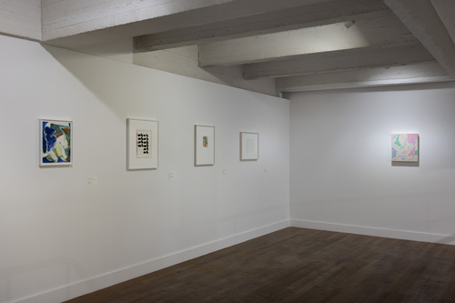 Friends in a Field: Conversations with Raoul De Keyser - Installation view