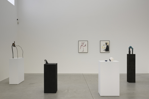 Lacuna - Grace Schwindt - Installation view