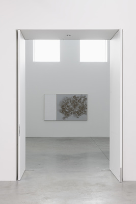N. Dash - Installation view