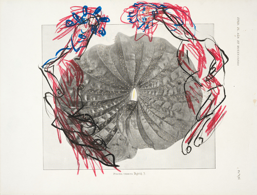 Pélagie Gbaguidi - Care