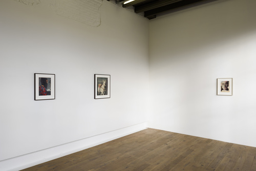 Domesticated - Jan De Maesschalck - 