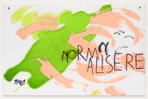 Industriële Typen - Anne-Mie Van Kerckhoven - Normaliseren (to Normalise)