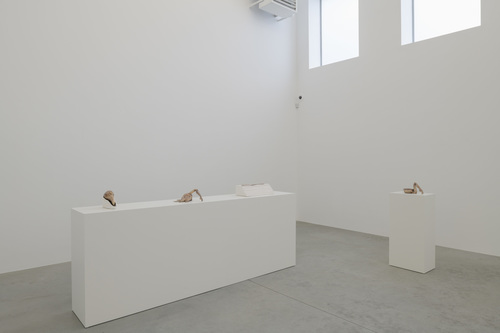 Silent Dance - Grace Schwindt - Installation view
