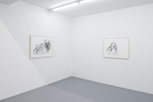 Dirk Braeckman, Susan Hartnett, Jockum Nordström, Jack Whitten - Installation view