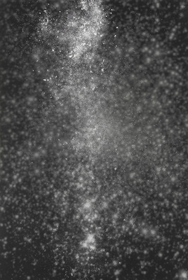 Dirk Braeckman - Dirk Braeckman - N.P.-F.G.-05