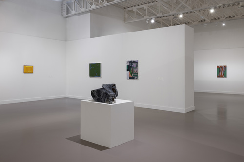 Friends in a Field: Conversations with Raoul De Keyser - Installation view