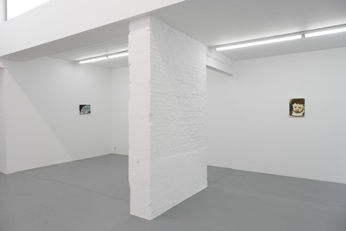 Double Takes - Installation view