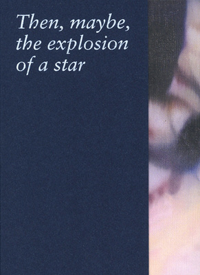 FRAC Île-de-France<br />Paris, France, 2016<br />64 pages, ISBN 9782918138136