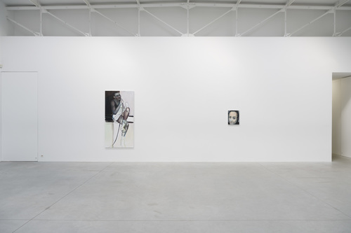 Double Takes - Installation view