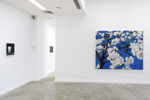 Pots, lapin, fenêtres, fleurs - Installation view