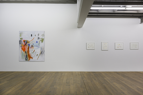 Placenta Saturnine Bercail - Installation view