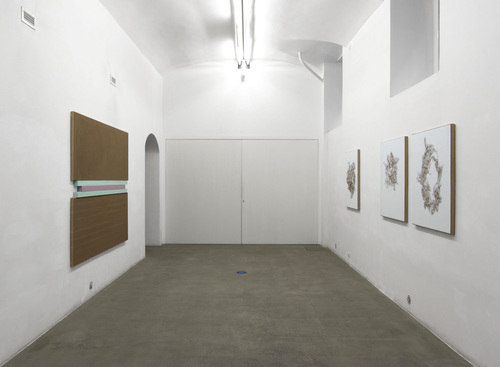 N. Dash - Installation view