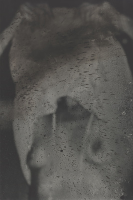 Dirk Braeckman, Susan Hartnett, Jockum Nordström, Jack Whitten - 1/1 - P023 a - 2015 - 1/1