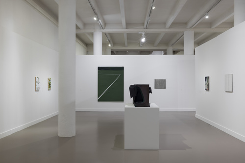 Friends in a Field: Conversations with Raoul De Keyser - Installation view