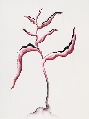 Lacuna - Grace Schwindt - Heliconia