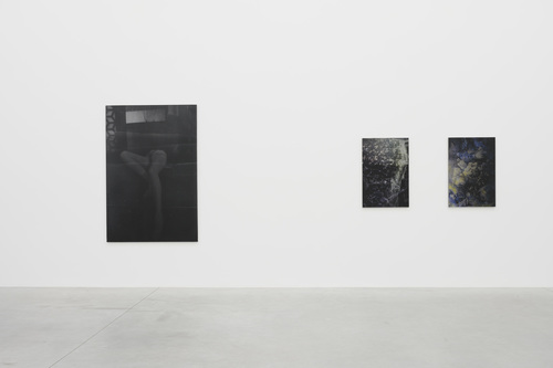 Dear deer , - Dirk Braeckman - Installation view