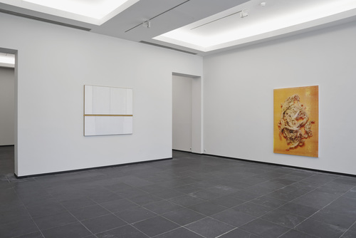 earth - Installation view