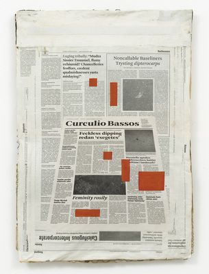 Mark Manders - Perspective Study