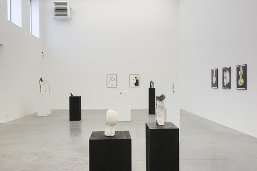 Lacuna - Grace Schwindt - Installation view