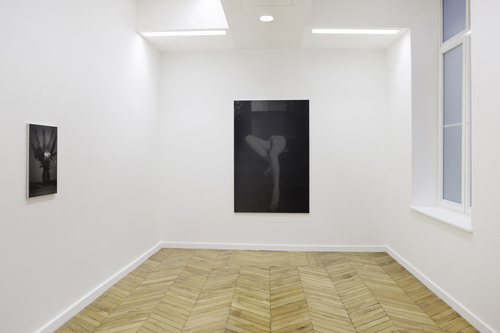 Évidences possibles - Installation view