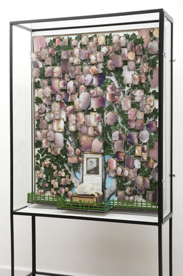 Patrick Van Caeckenbergh - De Blozende Kaakjes (The Blushing Cheeks)