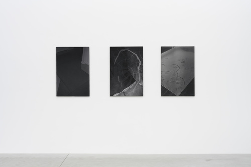 Dear deer , - Dirk Braeckman - Installation view