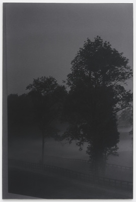 Dear deer , - Dirk Braeckman - Dear deer , Yesterday we