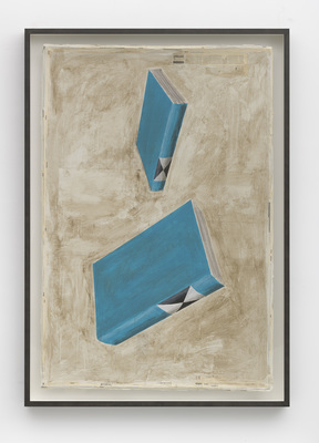 Works on Paper II - Falling Dictionaries