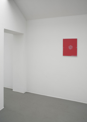 Between Red and a Transparent Plane - Installation view