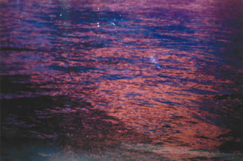 FERNWEH - Dirk Braeckman - B.O.-Y.E.-20