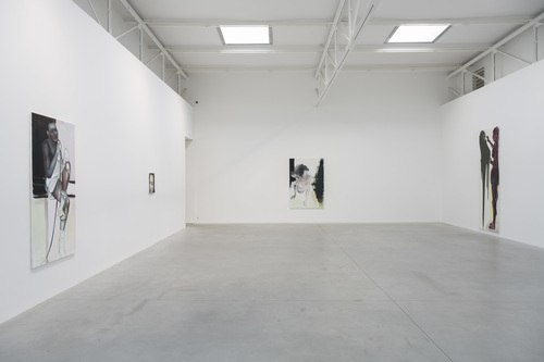 Double Takes - Installation view