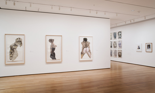 Measuring Your Own Grave - Installation view