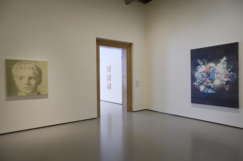 La Pelle - Installation view