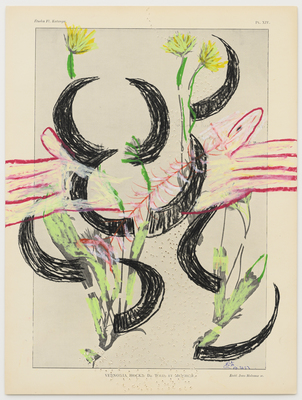 Le jour se lève - Pélagie Gbaguidi - Chaine Humaine