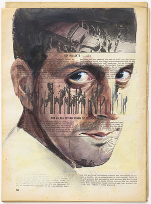 Domesticated - Jan De Maesschalck - Domesticated #2