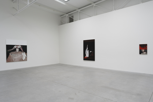 Bleeding Heart - Mircea Suciu - Installation view