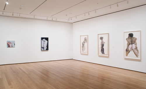 Measuring Your Own Grave - Installation view