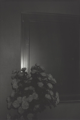 twentyseven.one.seven - Dirk Braeckman - 27.1 / 21.7 / 028 / 2014 (Hommage to Cristof)