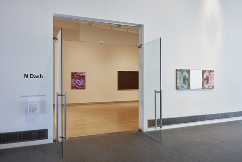 N. Dash - Installation view