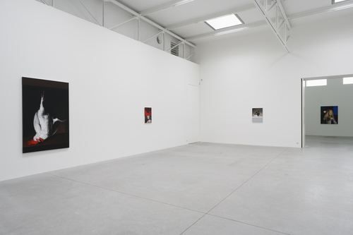 Bleeding Heart - Mircea Suciu - Installation view