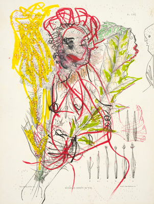 Pélagie Gbaguidi - Care