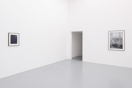 Domesticated - Jan De Maesschalck - 