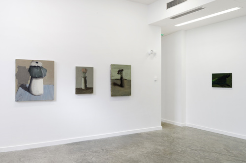 Pots, lapin, fenêtres, fleurs - Installation view