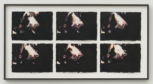 Luc Tuymans - Monkeys